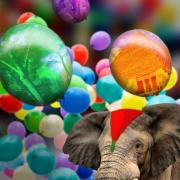 les rêves de l'éléphant du cirque