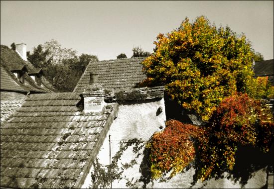toitures d'automne